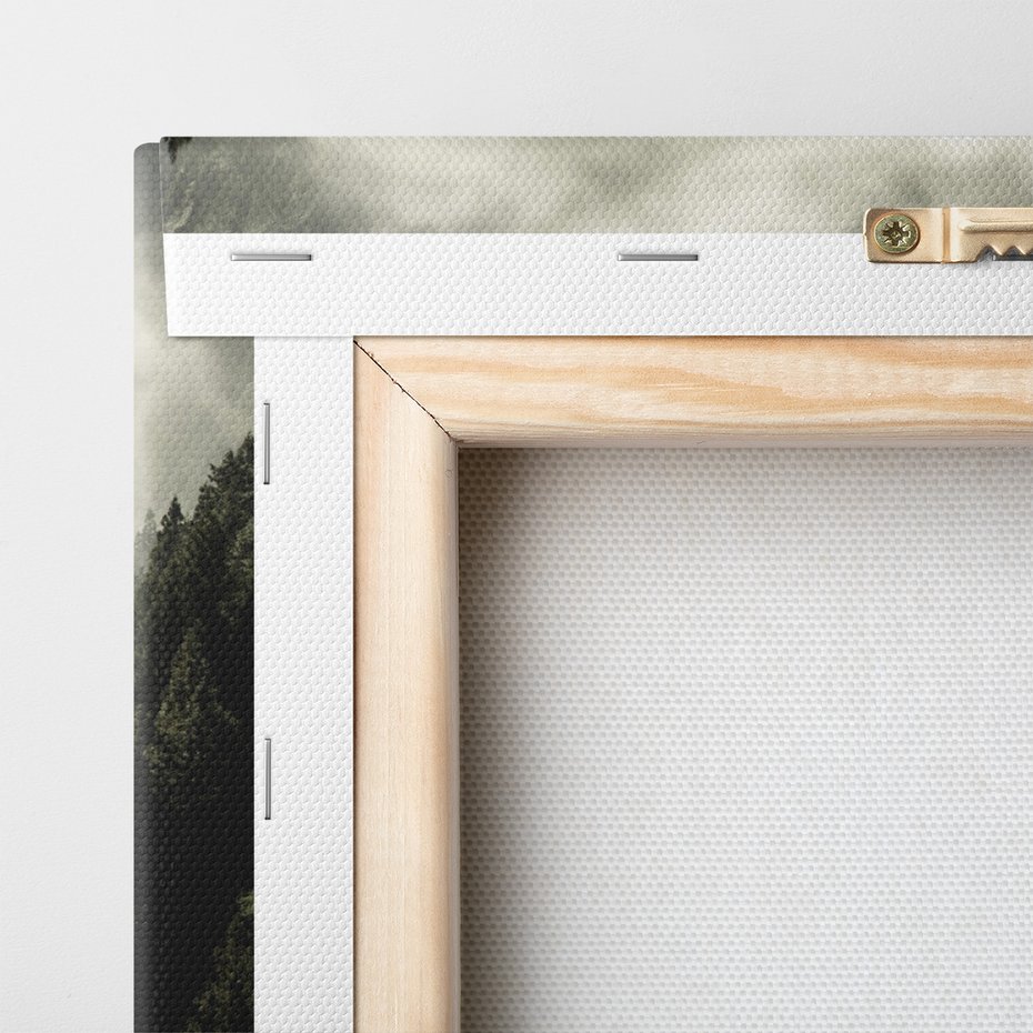 Obraz na płótnie - las, góry, mgła