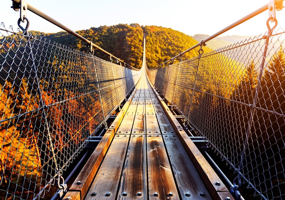 Fototapeta - most wiszący, natura, drewno