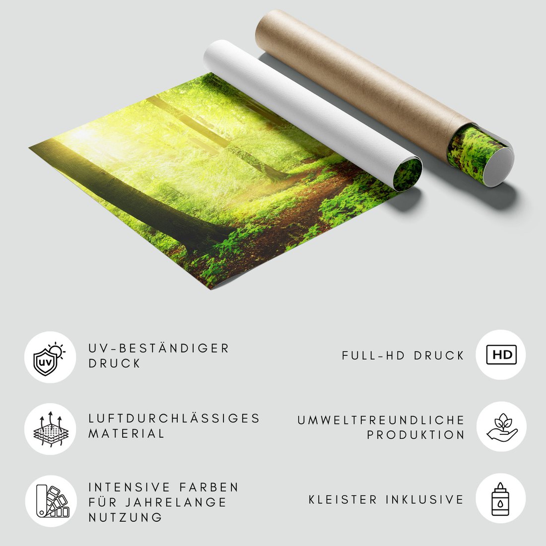 Fototapeta - las, drzewa, natura