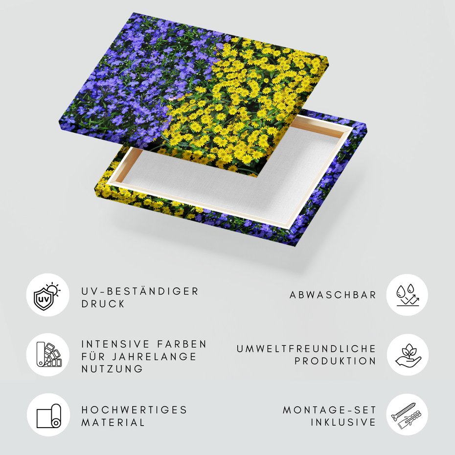 Obraz na płótnie - kwiaty, rośliny, natura