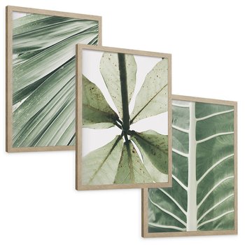 Zestaw obrazy w ramie, plakaty - liście, tropikalne, zielone - rama drewno