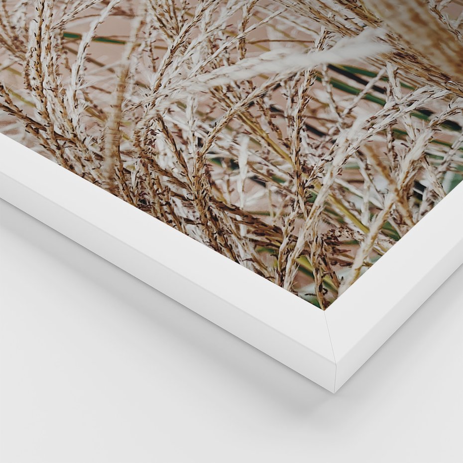 Zestaw obrazy w ramie, plakaty - roślina, beżowy, dekoracja - rama biała