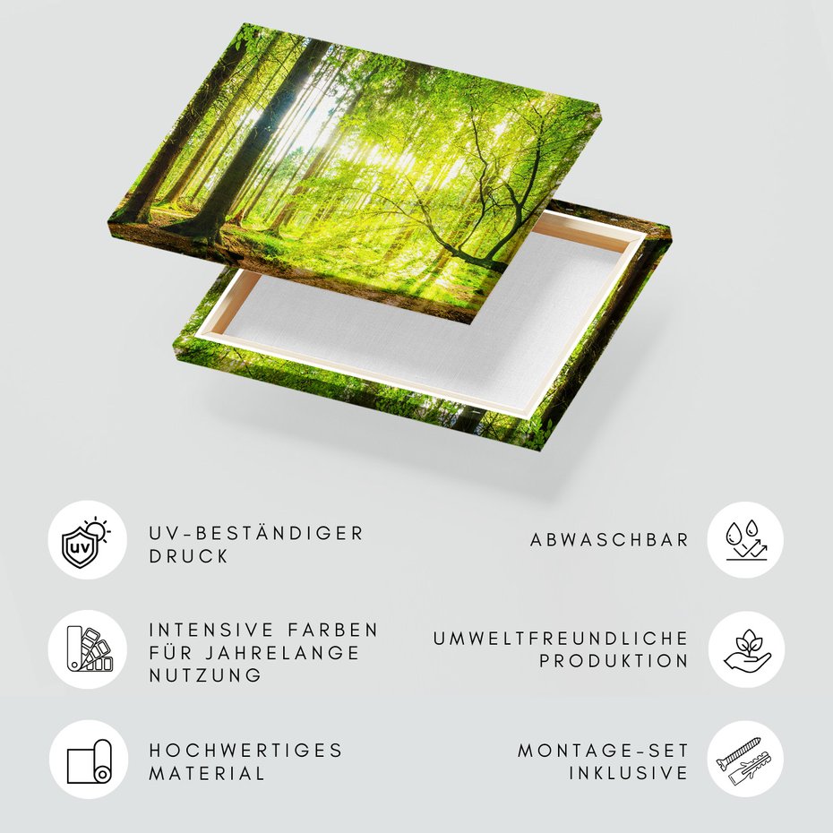 Obraz na płótnie - las, drzewa, przyroda