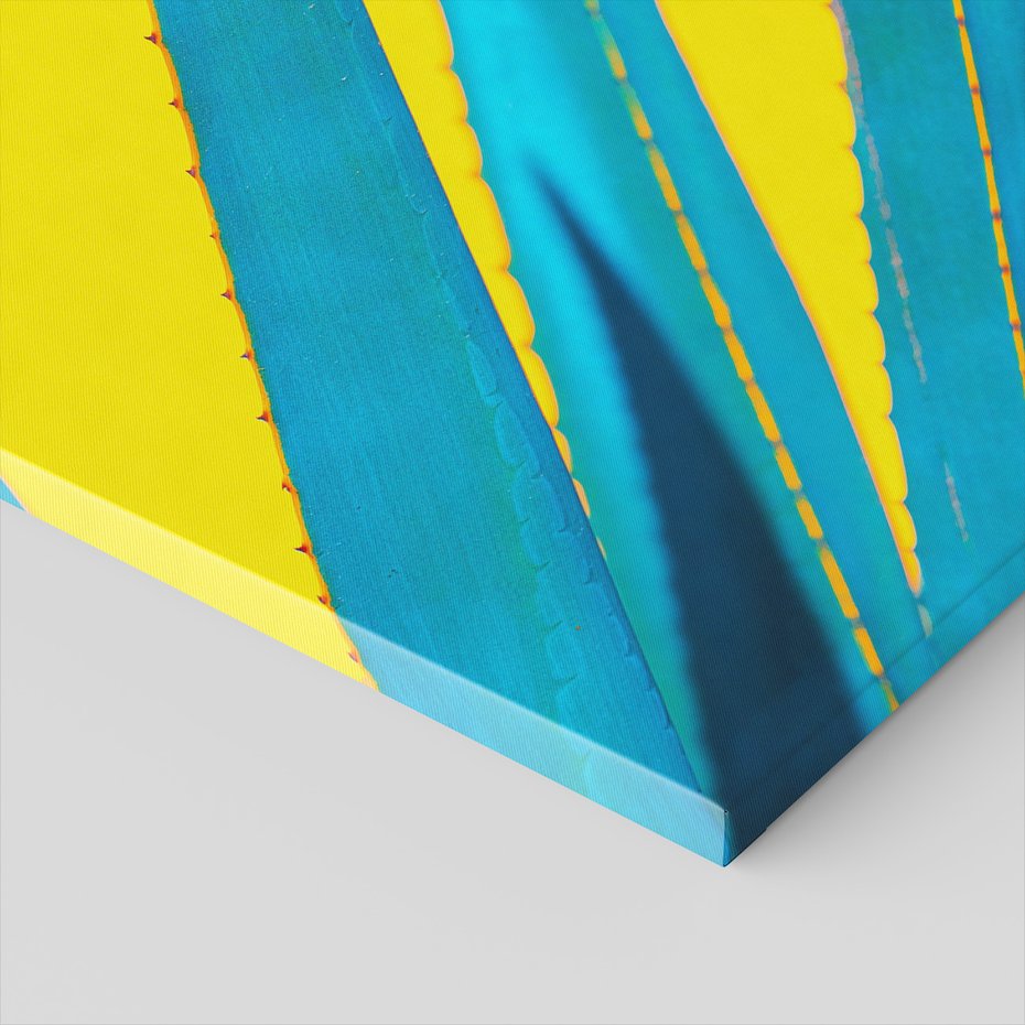 Obraz na płótnie - aloes, abstrakcja, roślina