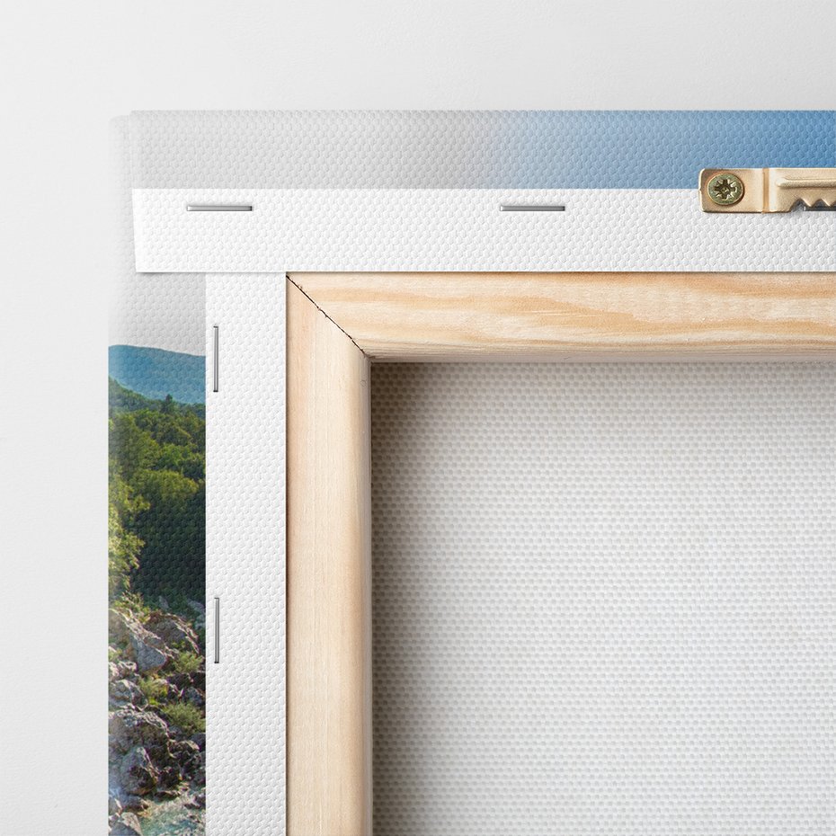 Obraz na płótnie - rzeka, most, las