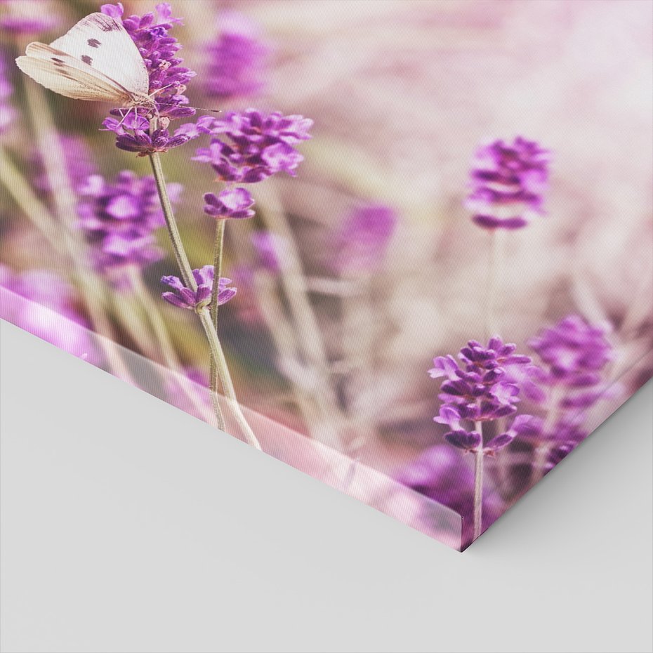 Obraz na płótnie - lawenda, motyl, kwiaty