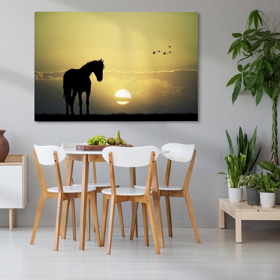 Obraz na płótnie - koń, zachód słońca, ptaki
