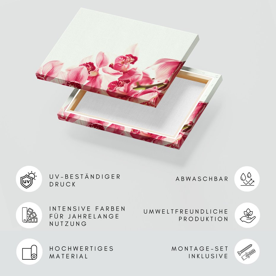 Obraz na płótnie - kwiaty, różowy, orchidee