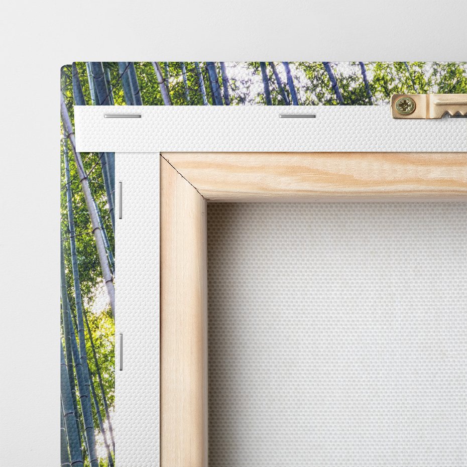 Obraz na płótnie - bambus, las, ścieżka