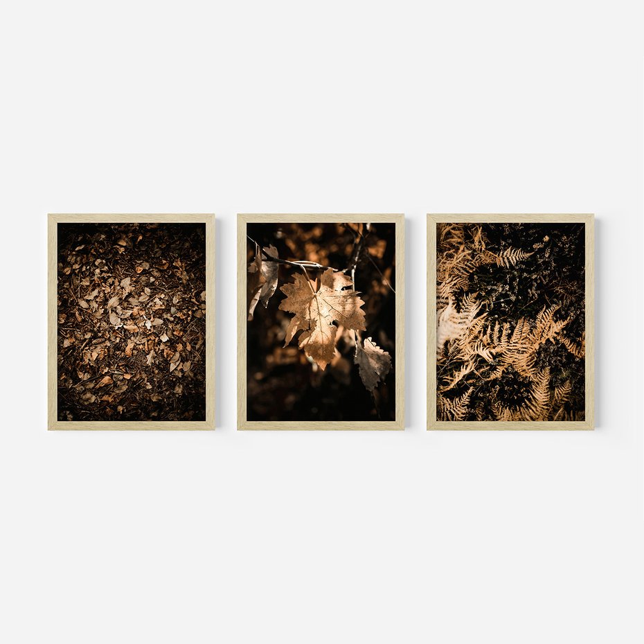 Zestaw obrazy w ramie, plakaty - liście, jesień, brązowy - rama drewno