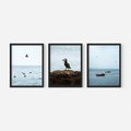 Zestaw obrazy w ramie, plakaty - ptaki, morze, łodzie - rama czarna