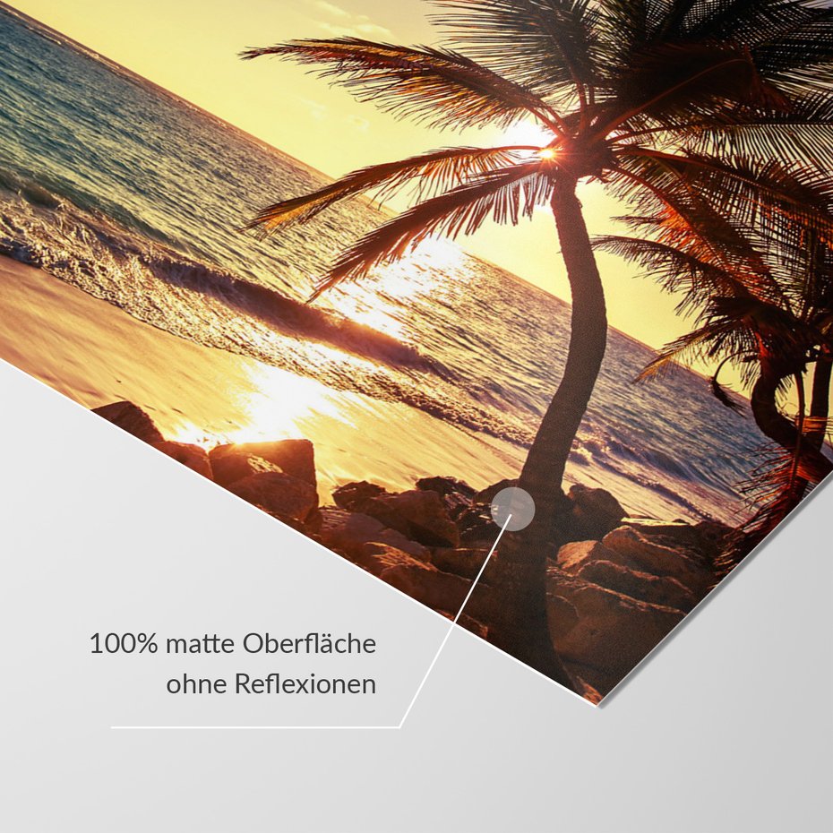 Fototapeta - plaża, palmy, morze