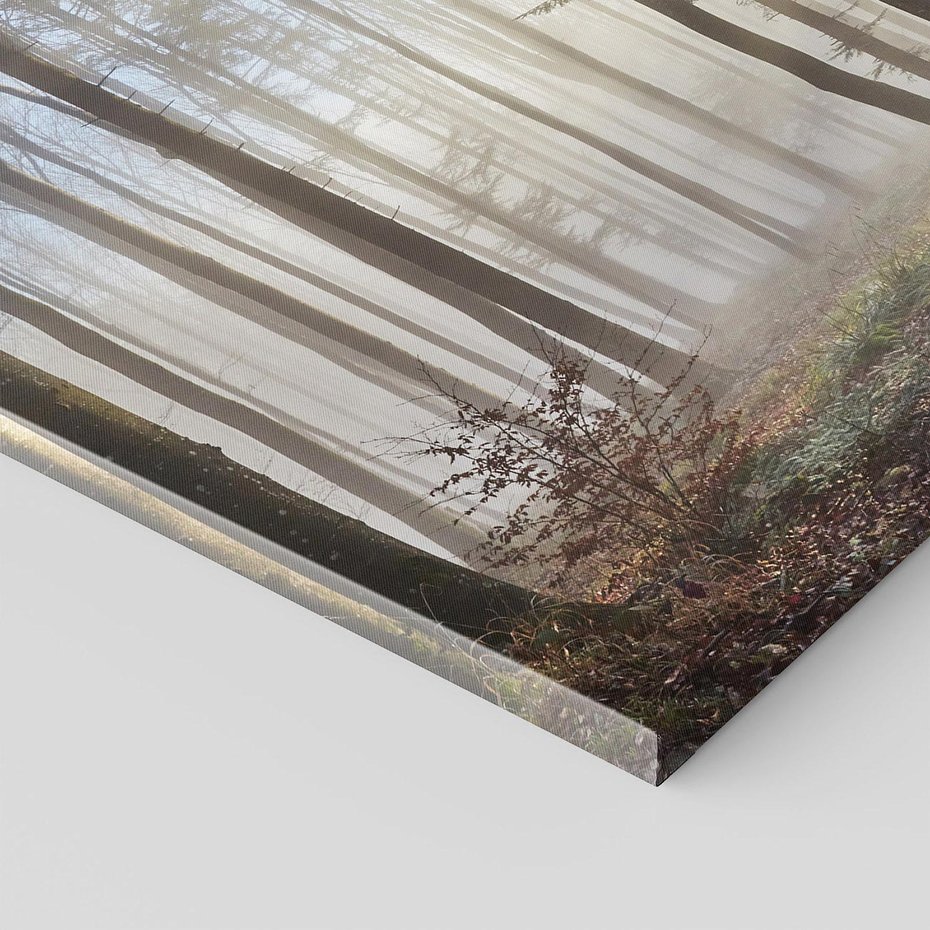 Obraz na płótnie - las, drzewa, mgła