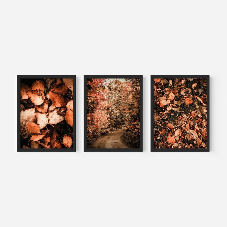 Zestaw obrazy w ramie, plakaty - liście,jesień,drzewa - rama czarna