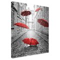 Obraz na płótnie - parasole, deszcz, ulica