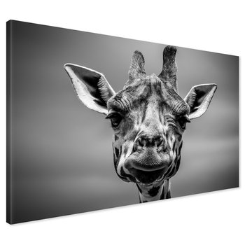 Obraz na płótnie - żyrafa, portret, Afryka