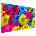 Obraz na płótnie - kwiaty, kolorowe, bukiet