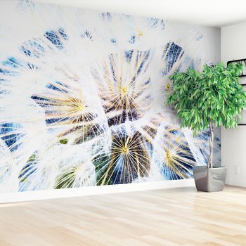 Fototapeta - dmuchawiec, natura, abstrakcja