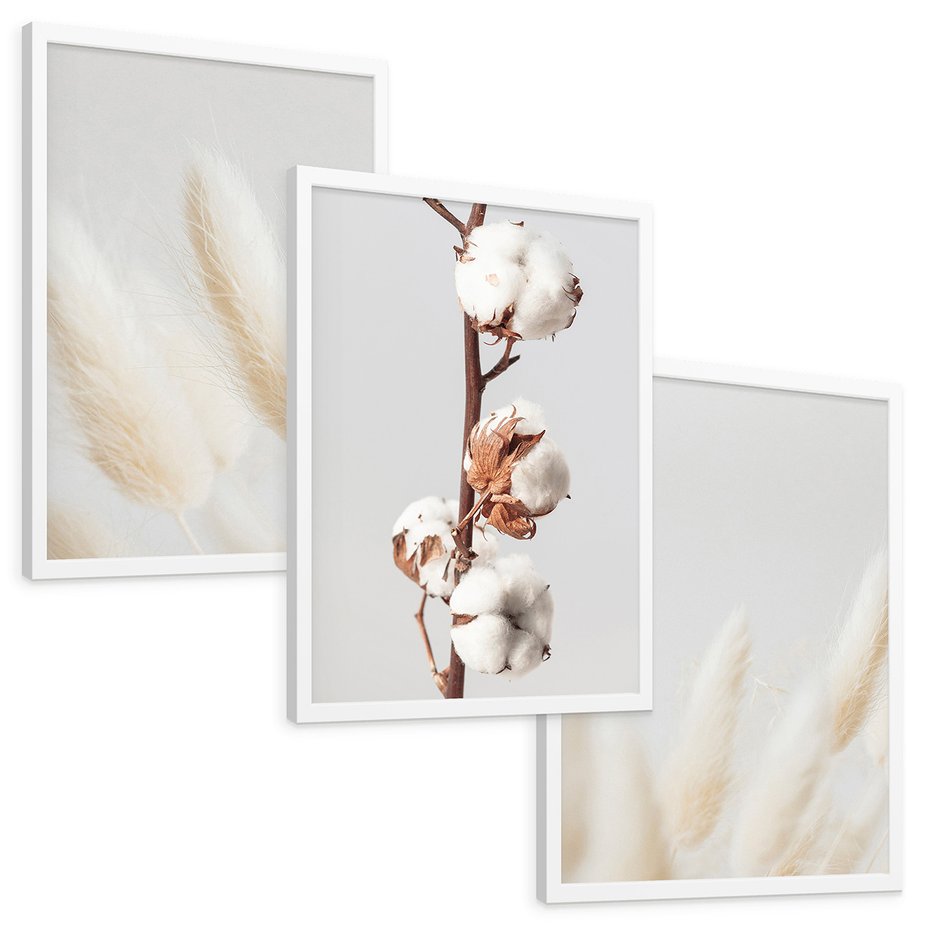 Zestaw obrazy w ramie, plakaty - bawełna, trawa, puszysty - rama biała