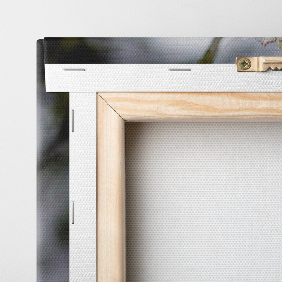 Obraz na płótnie - kwiaty, białe kwiaty, wiosna