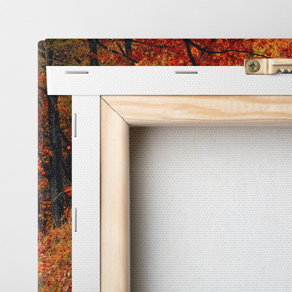 Obraz na płótnie - jesień, liście, las