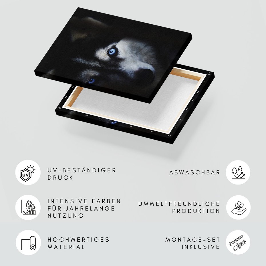 Obraz na płótnie - pies, husky, portret