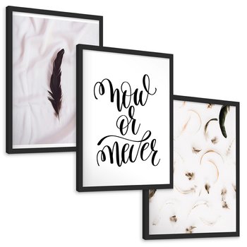 Zestaw obrazy w ramie, plakaty - pióro, minimalizm, tło - rama czarna