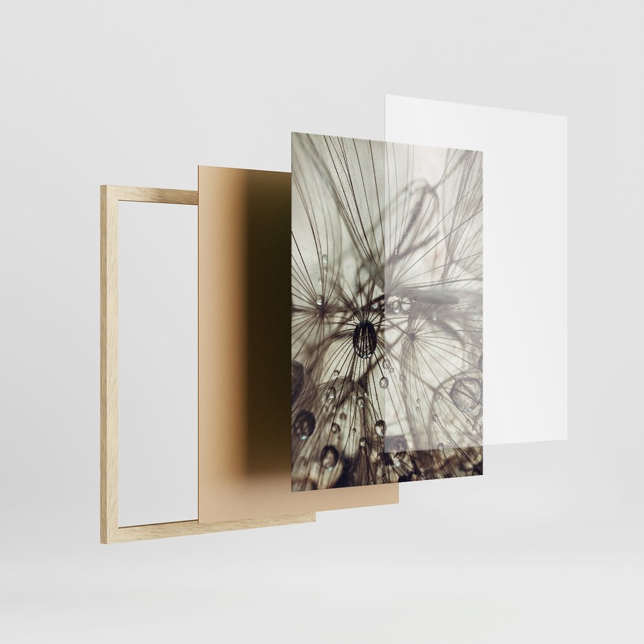 Zestaw obrazy w ramie, plakaty - makro, natura, roślina - rama drewno