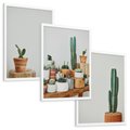 Zestaw obrazy w ramie, plakaty - kaktusy, sukulenty, rośliny - rama biała
