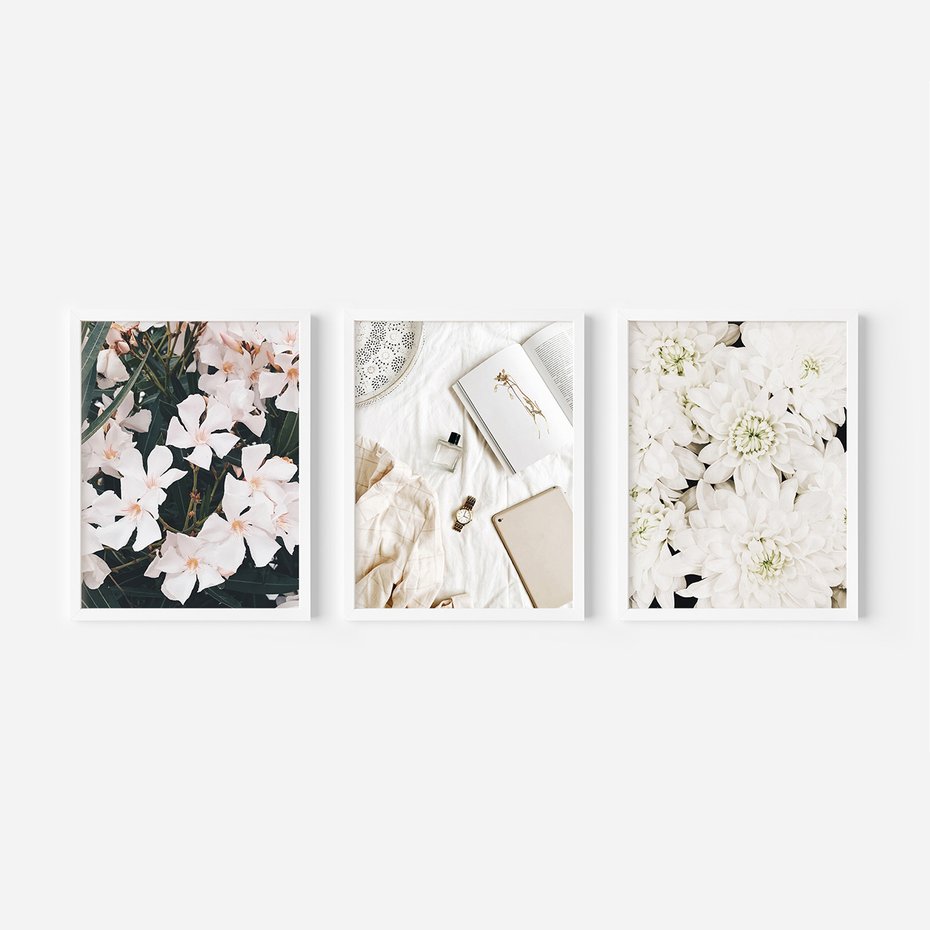 Zestaw obrazy w ramie, plakaty - kwiaty, biały, roślina - rama biała