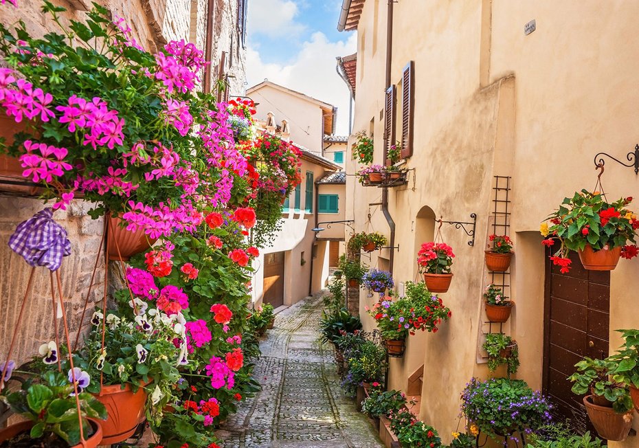 Fototapeta - kwiaty, uliczka, rośliny