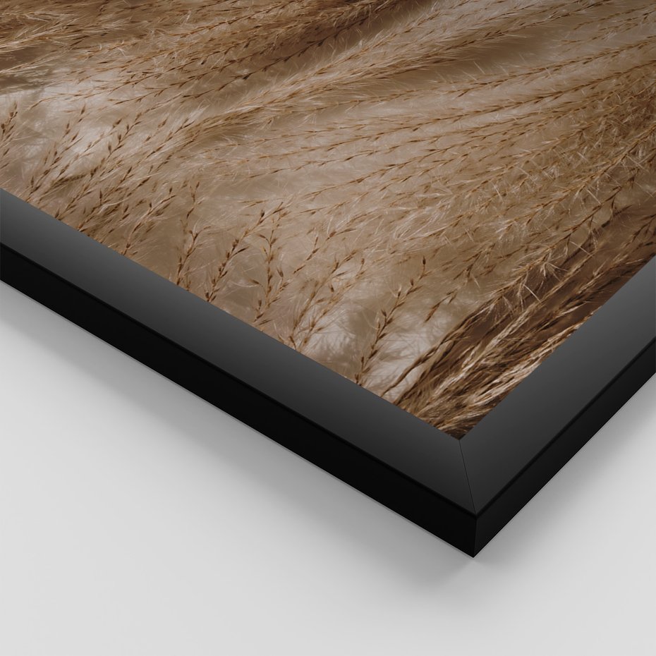 Zestaw obrazy w ramie, plakaty - rośliny, cienie, susz - rama czarna