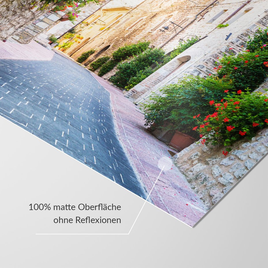 Fototapeta - uliczka, kwiaty, roślinność