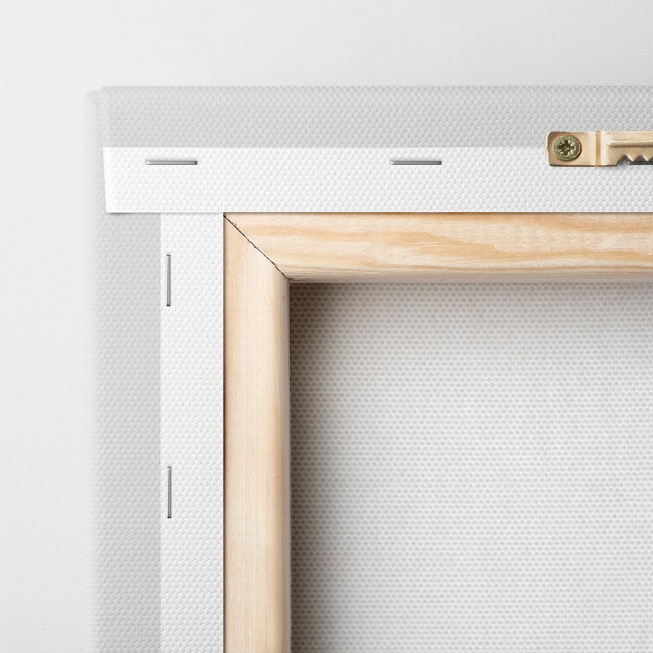 Obraz na płótnie - kaktus, roślina, zielony