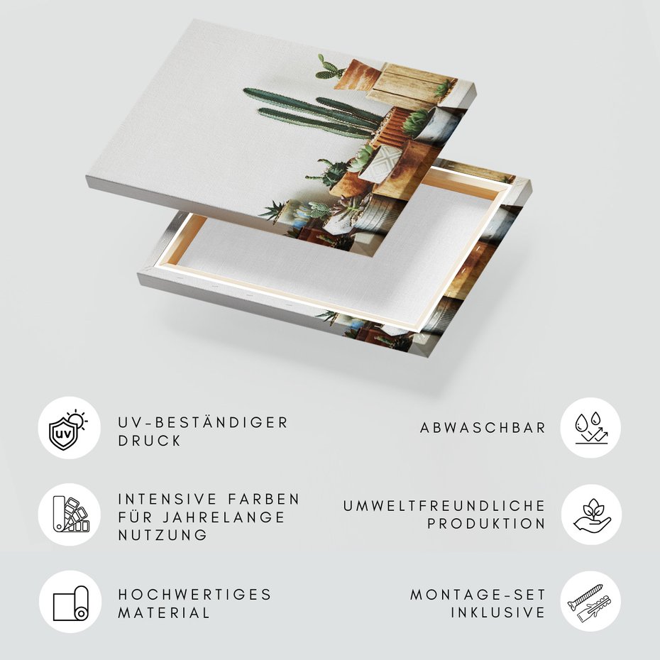 Obraz na płótnie - kaktusy, sukulenty, rośliny