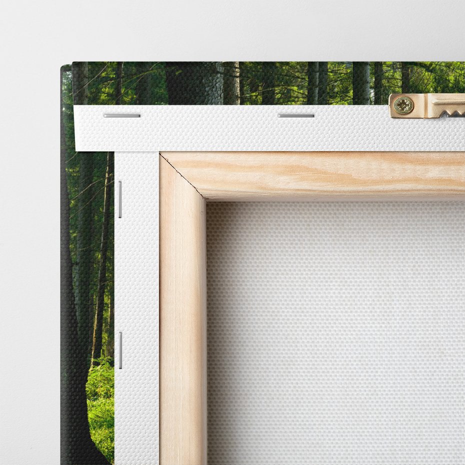 Obraz na płótnie - las, drzewa, natura