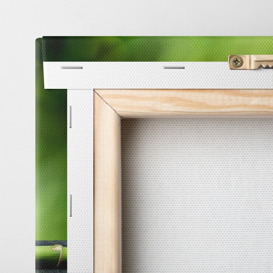 Obraz na płótnie - spa, relaks, orchidea