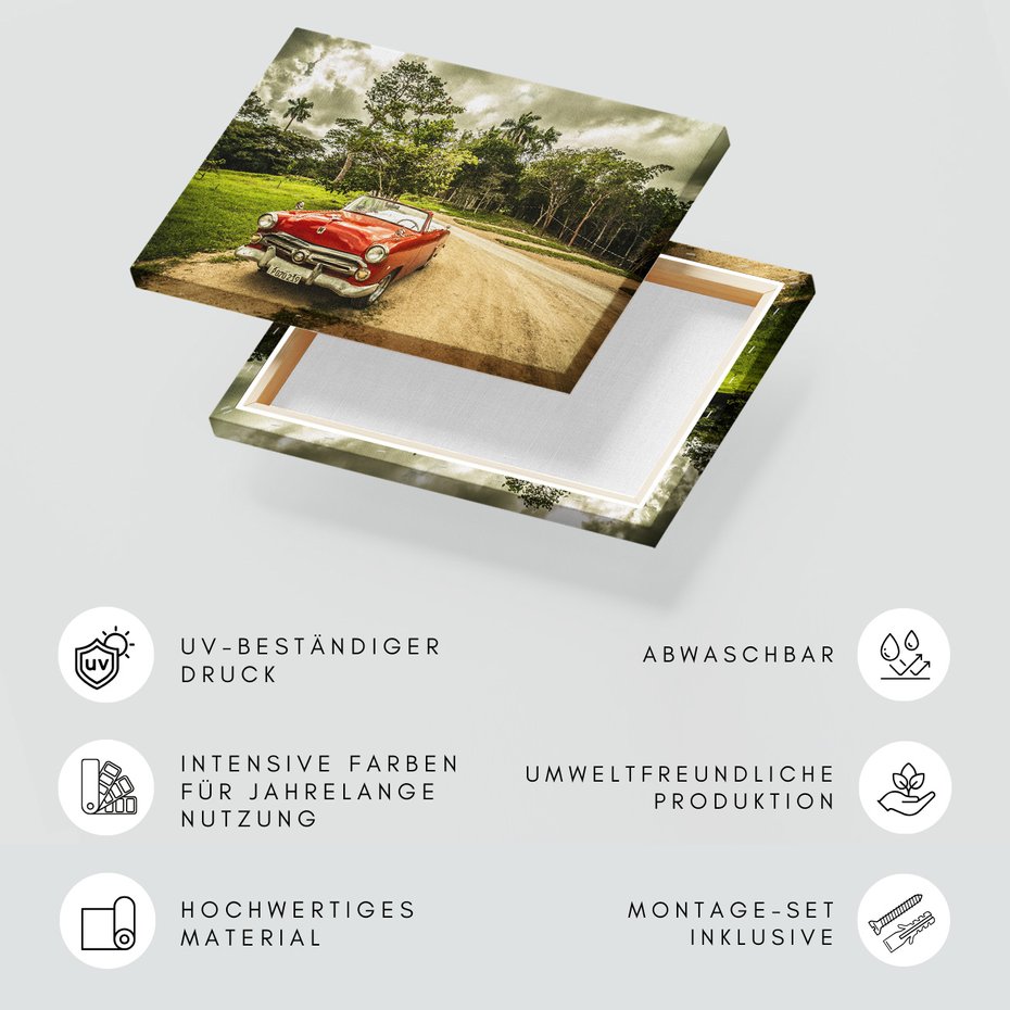 Obraz na płótnie - samochód, vintage, natura