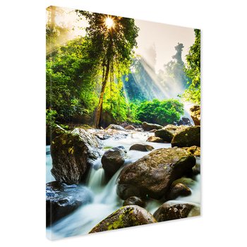 Obraz na płótnie - las, rzeka, kamienie