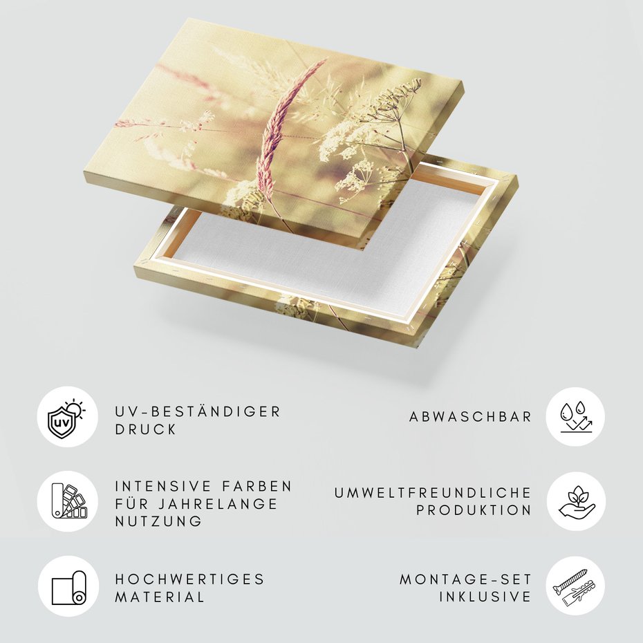 Obraz na płótnie - trawa, kwiaty, natura