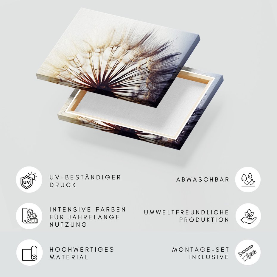 Obraz na płótnie - dmuchawiec, nasiona, natura