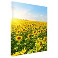 Obraz na płótnie - słoneczniki, pole, lato