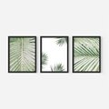 Zestaw obrazy w ramie, plakaty - liście, palmy, tropikalne - rama czarna