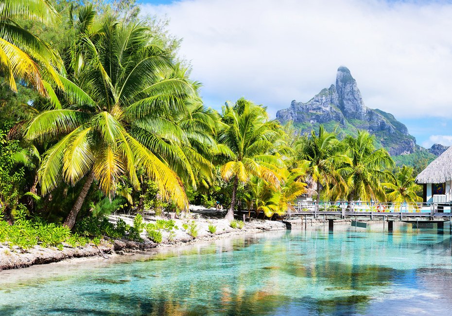 Fototapeta - palmy, woda, góry