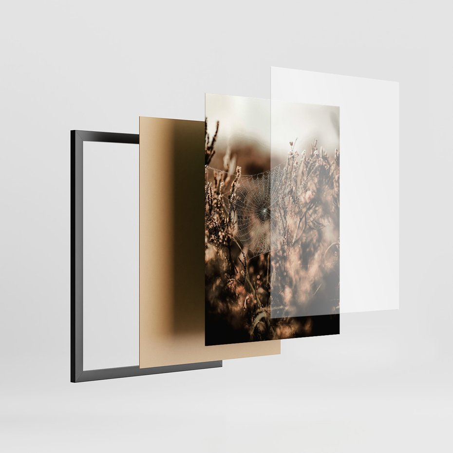 Zestaw obrazy w ramie, plakaty - przyroda, pajęczyna, owoce - rama czarna