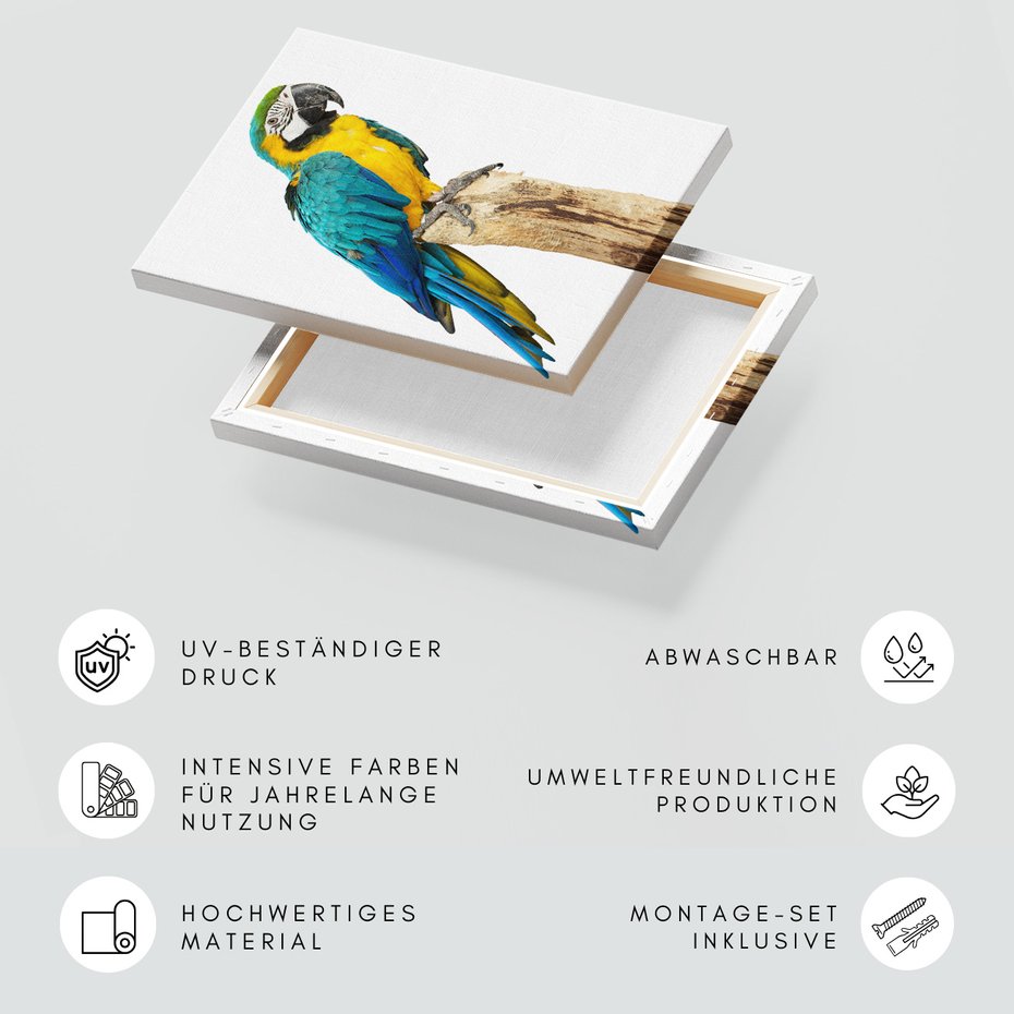 Obraz na płótnie - papuga, ara, egzotyczne