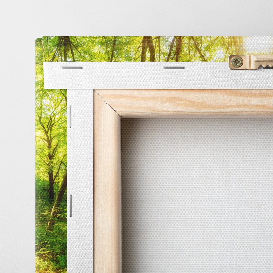 Obraz na płótnie - las, drzewa, słońce