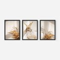 Zestaw obrazy w ramie, plakaty - trawa, dekoracja, pióra - rama czarna