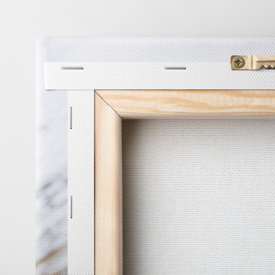 Obraz na płótnie - owca, góry, trawa