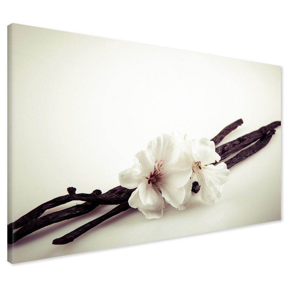 Obraz na płótnie - kwiaty, wanilia, aromat